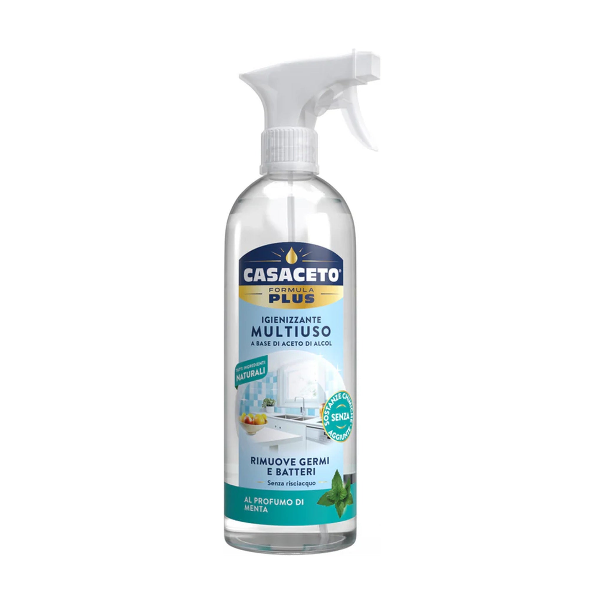 CASACETO SPRAY MENTA DELICATA 750 ML