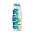 VIDAL BAGNOSCHIUMA COCONUT 500 ML